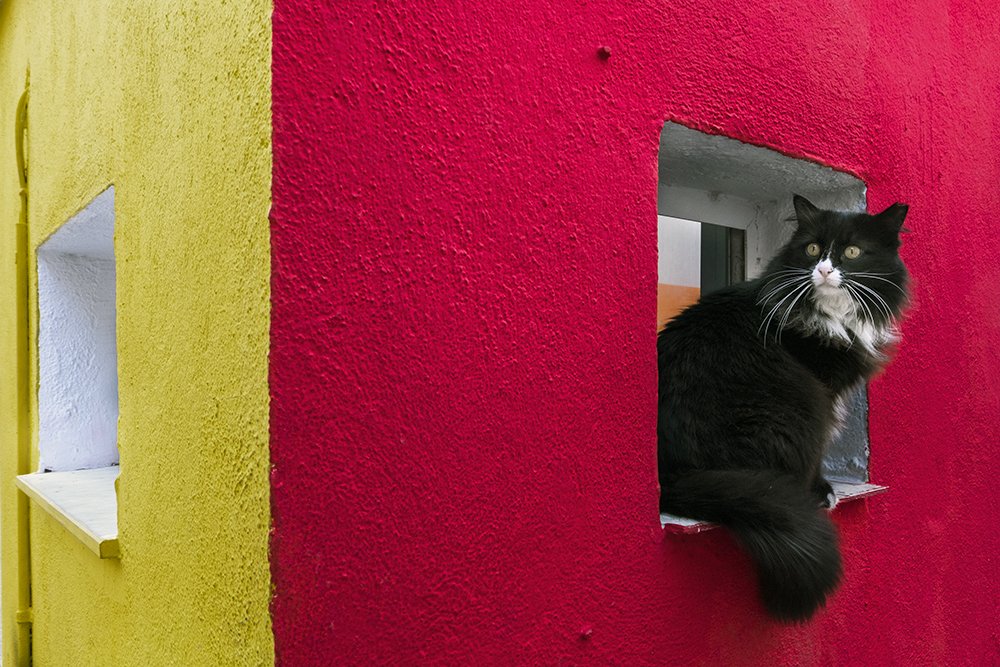 Photograph by ERDAL TURKOGLU