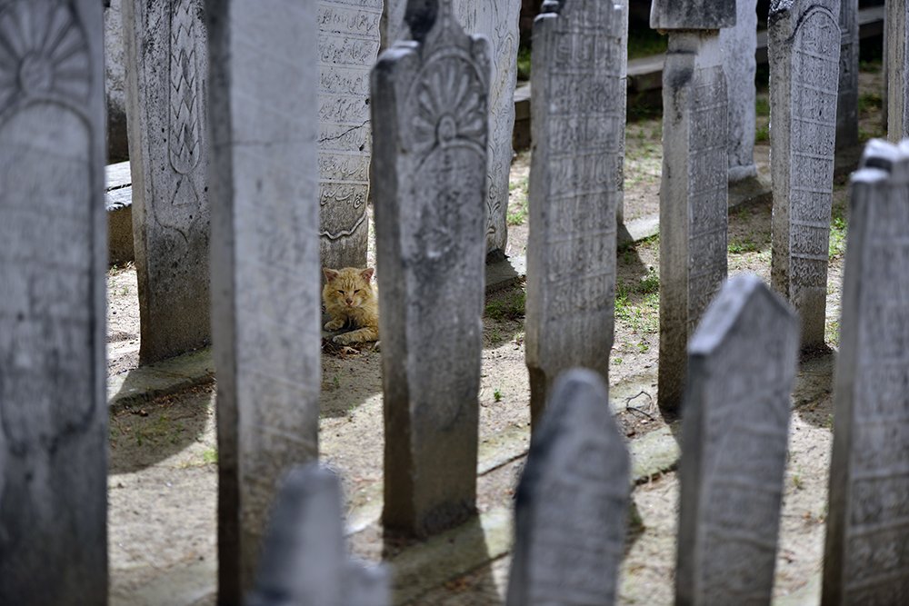 Photograph by ERDAL TURKOGLU