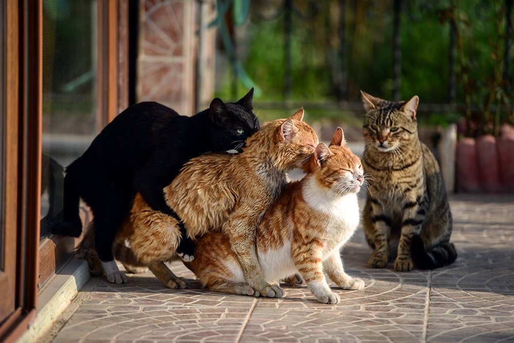 Photograph by ERDAL TURKOGLU