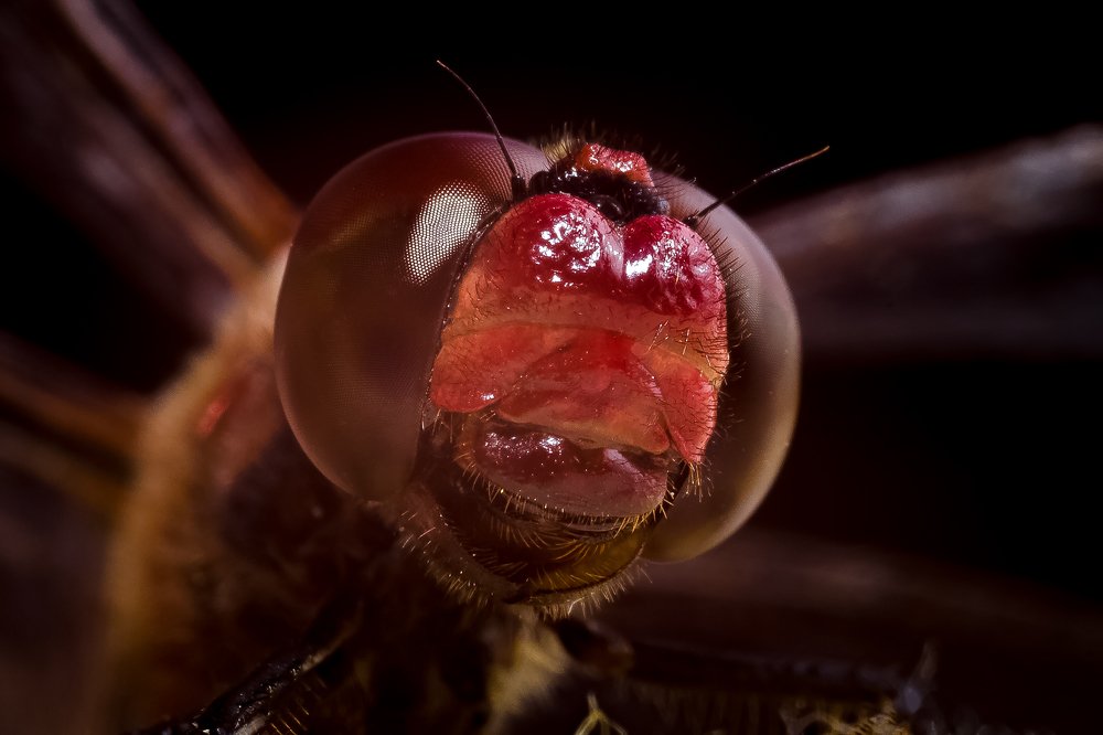 Photograph by Алексей Козлов