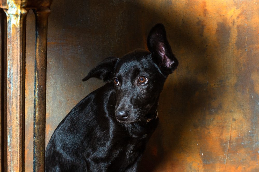 Photograph by Андрей Кульков