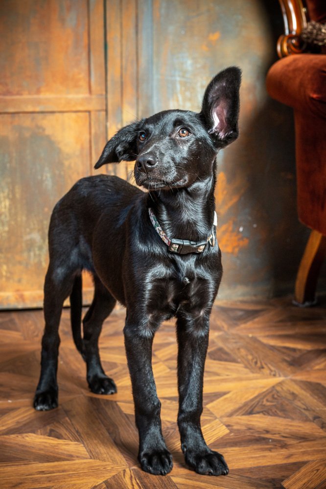 Photograph by Андрей Кульков