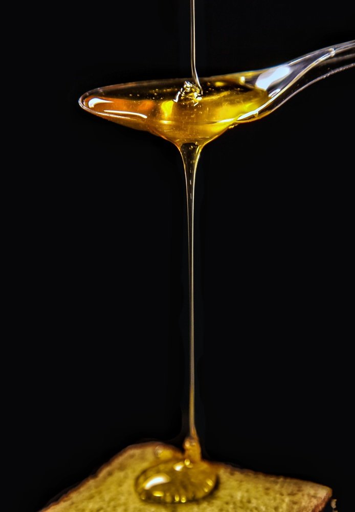 Photograph by Sax Palumbo