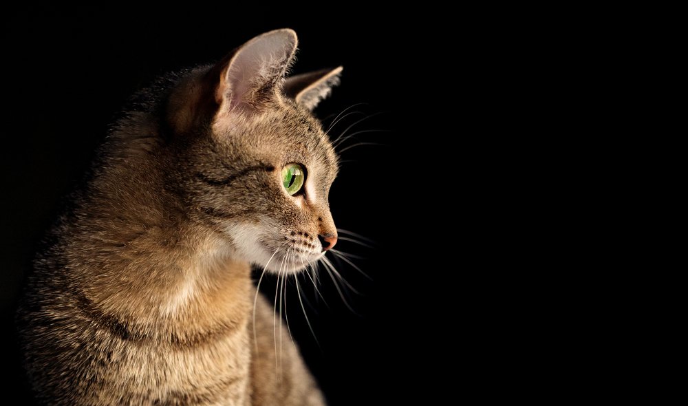 Photograph by Марина Димина