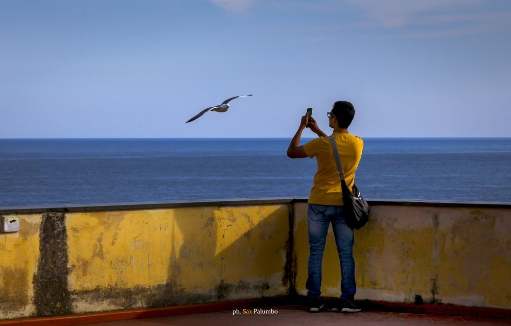 Photograph by Sax Palumbo