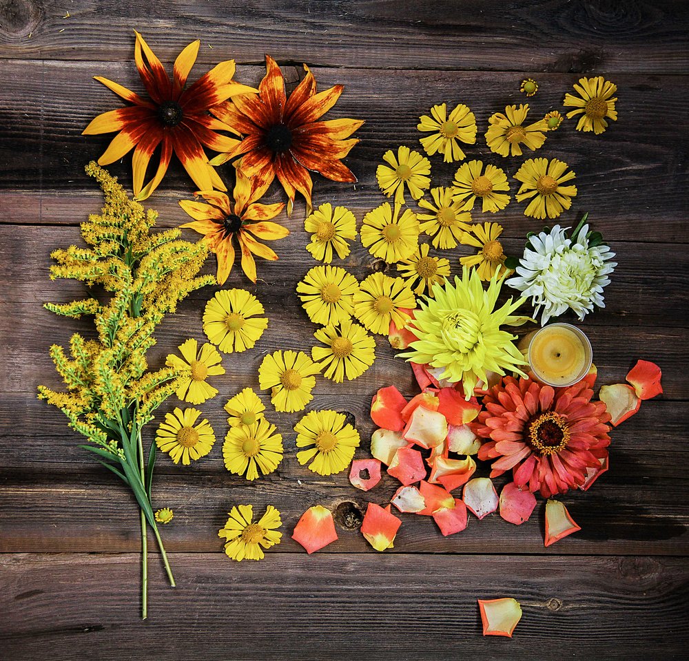 Photograph by Светлана Кавказская