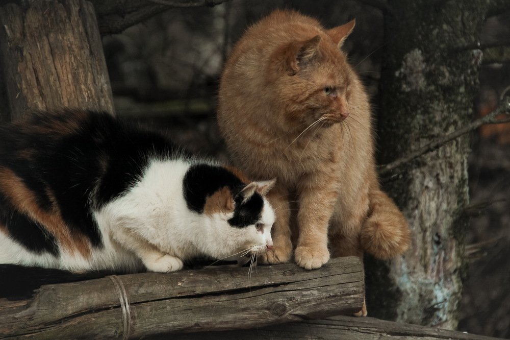 Photograph by Денис Бутин