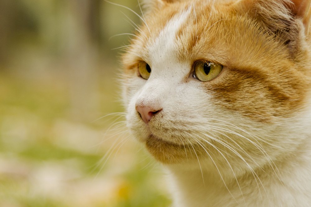 Photograph by hamed moradi