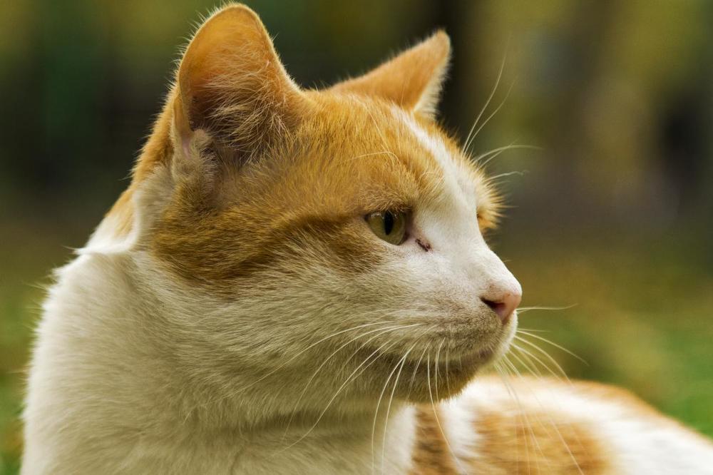 Photograph by hamed moradi