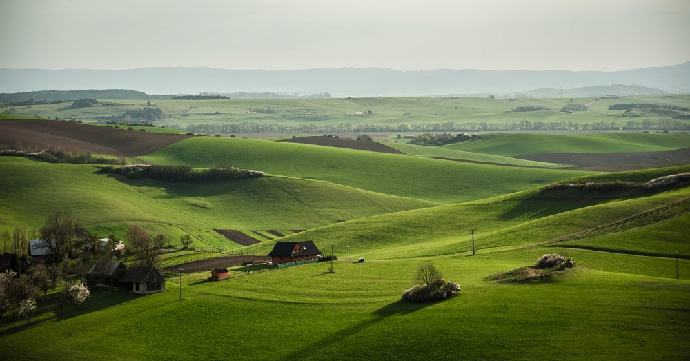 Green meadow near Turčianske Jaseno (Turiec region Slovakia)