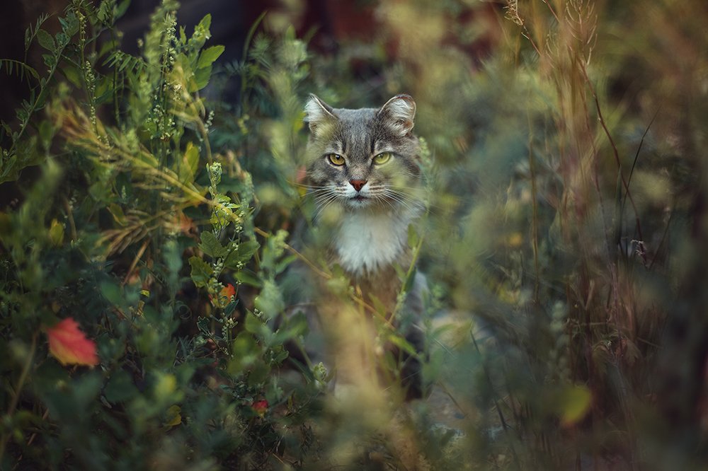 Photograph by Елена Галицкая