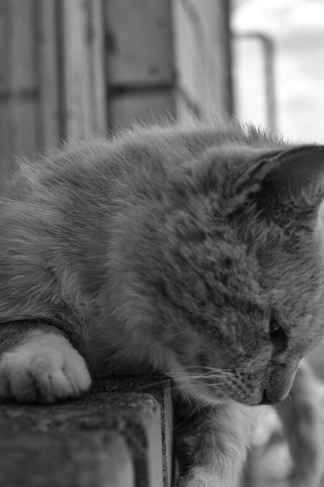 Photograph by Володимир Білоцькій