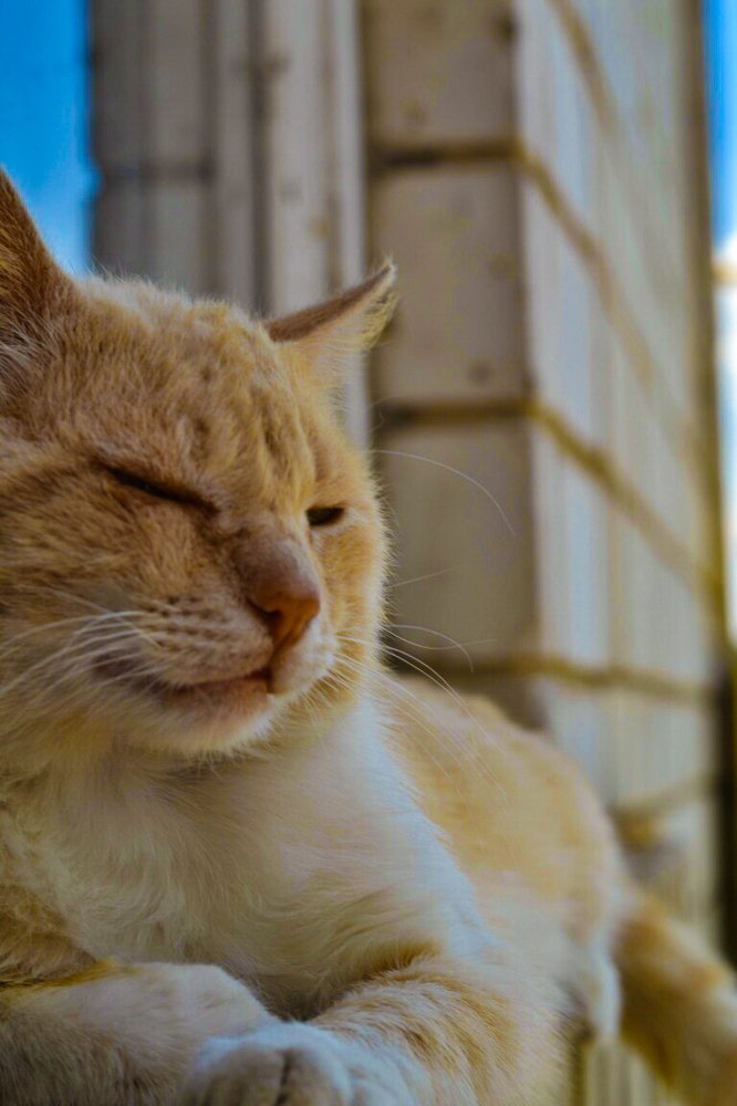 Photograph by Володимир Білоцькій