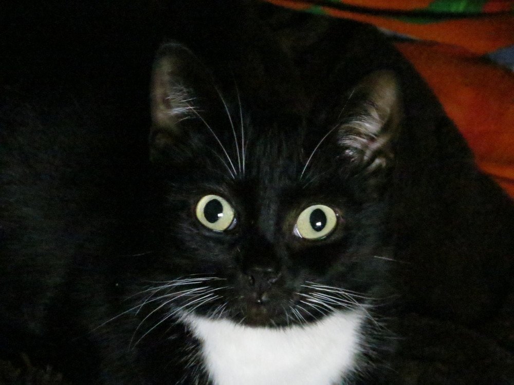 Photograph by Иван Скрипкин