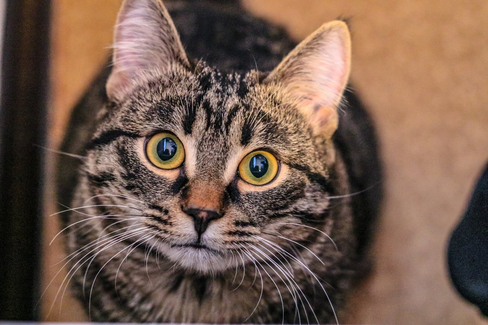 Photograph by Анна Дорофеева