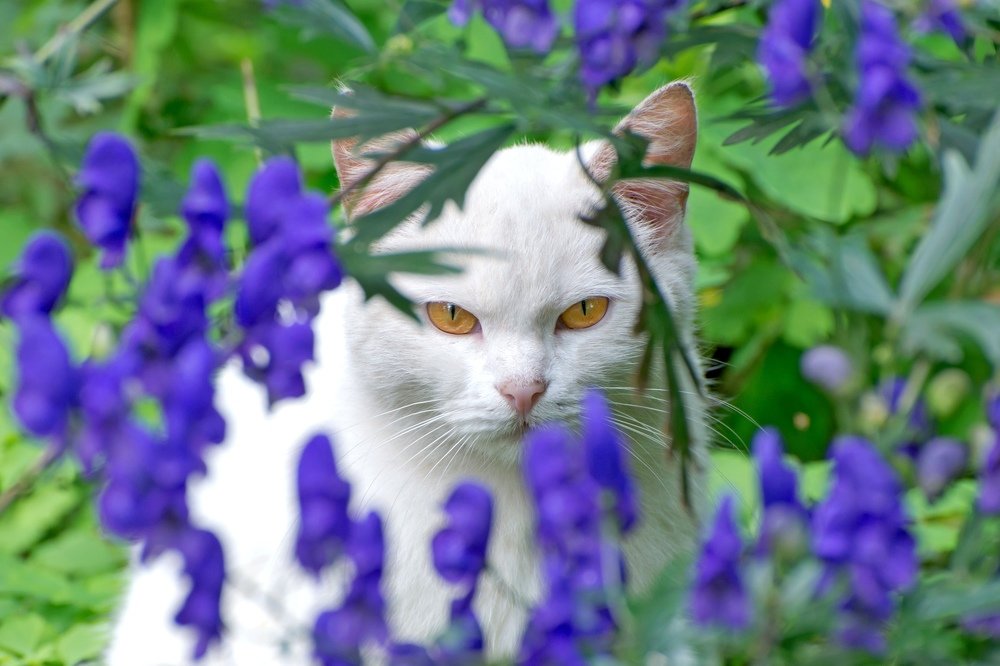 Photograph by Денис Илгач