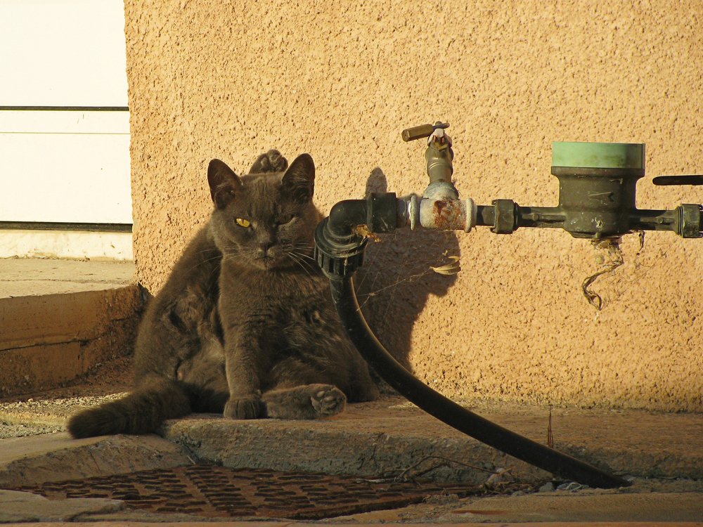 Photograph by Максим Селиванов