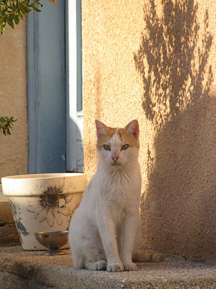 Photograph by Максим Селиванов