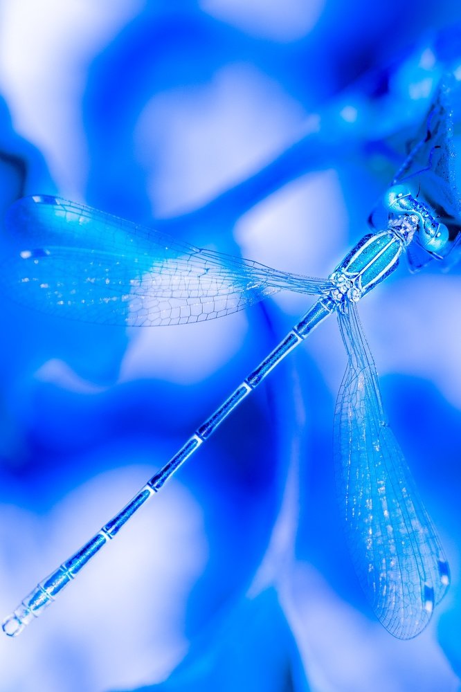 Photograph by Vahid Yavari