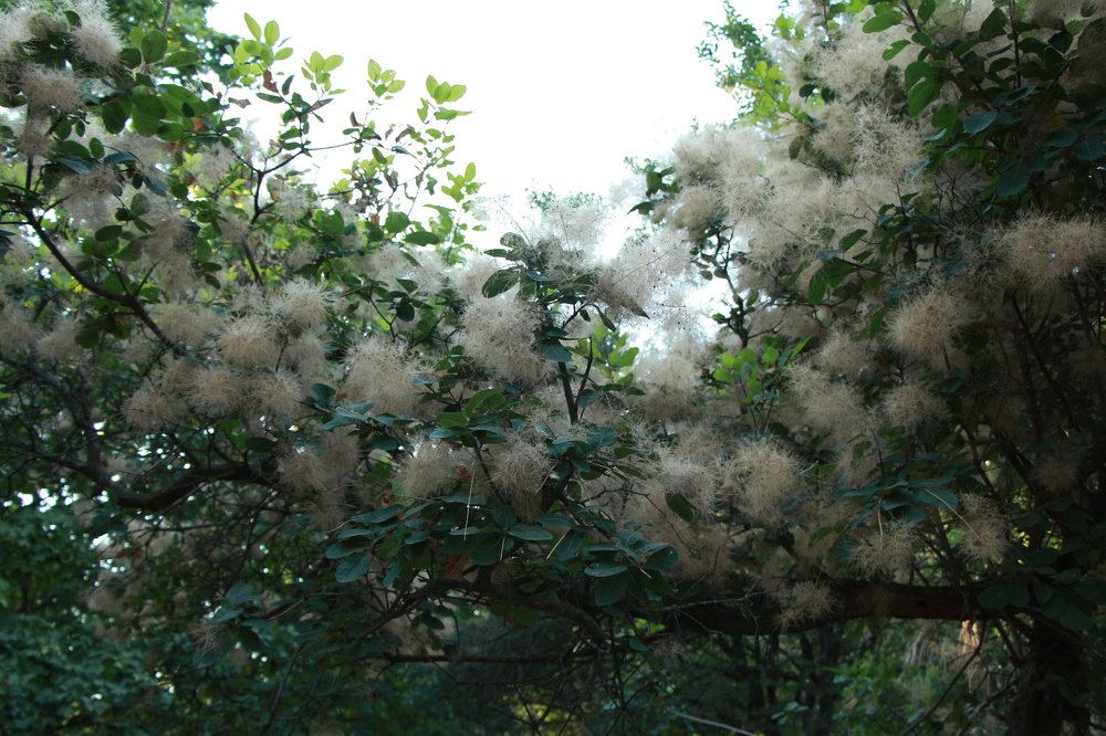 Photograph by Екатерина Парфёнова