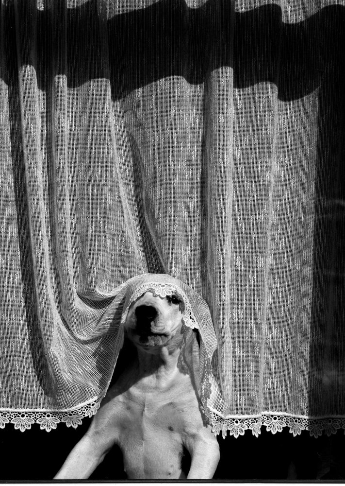 Photograph by Ramunas Danisevicius