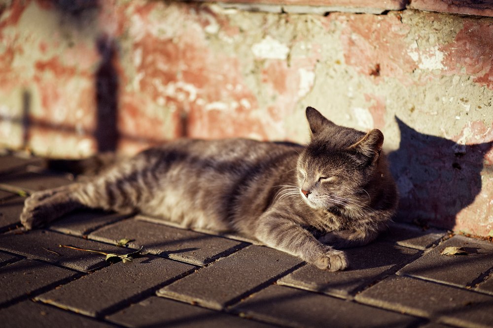 Photograph by Татьяна Калюжина