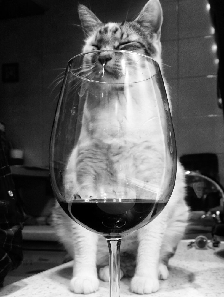 Photograph by Ramunas Danisevicius