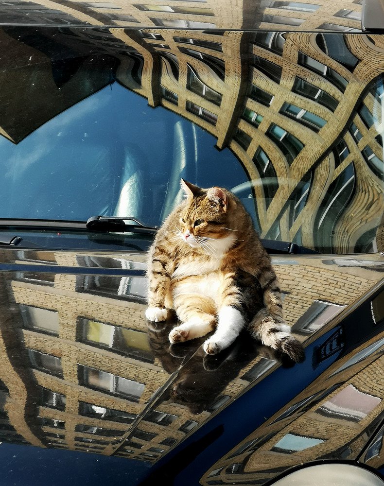 Photograph by Ramunas Danisevicius