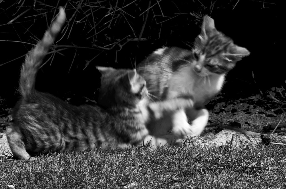 Photograph by Михаил Домешек