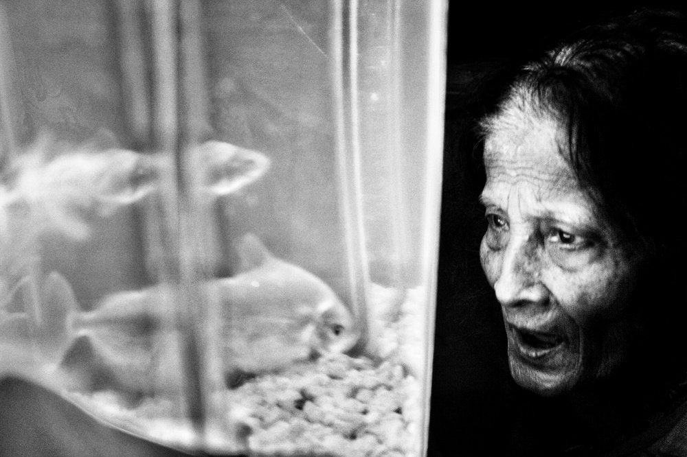 Photograph by sababa alam eyshee