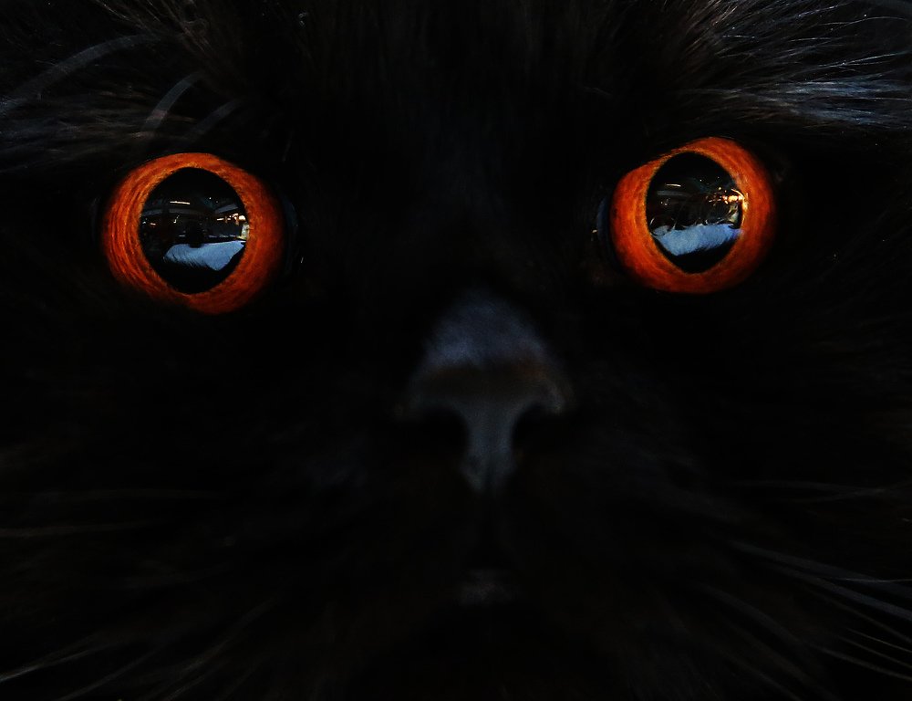 Photograph by Ramunas Danisevicius