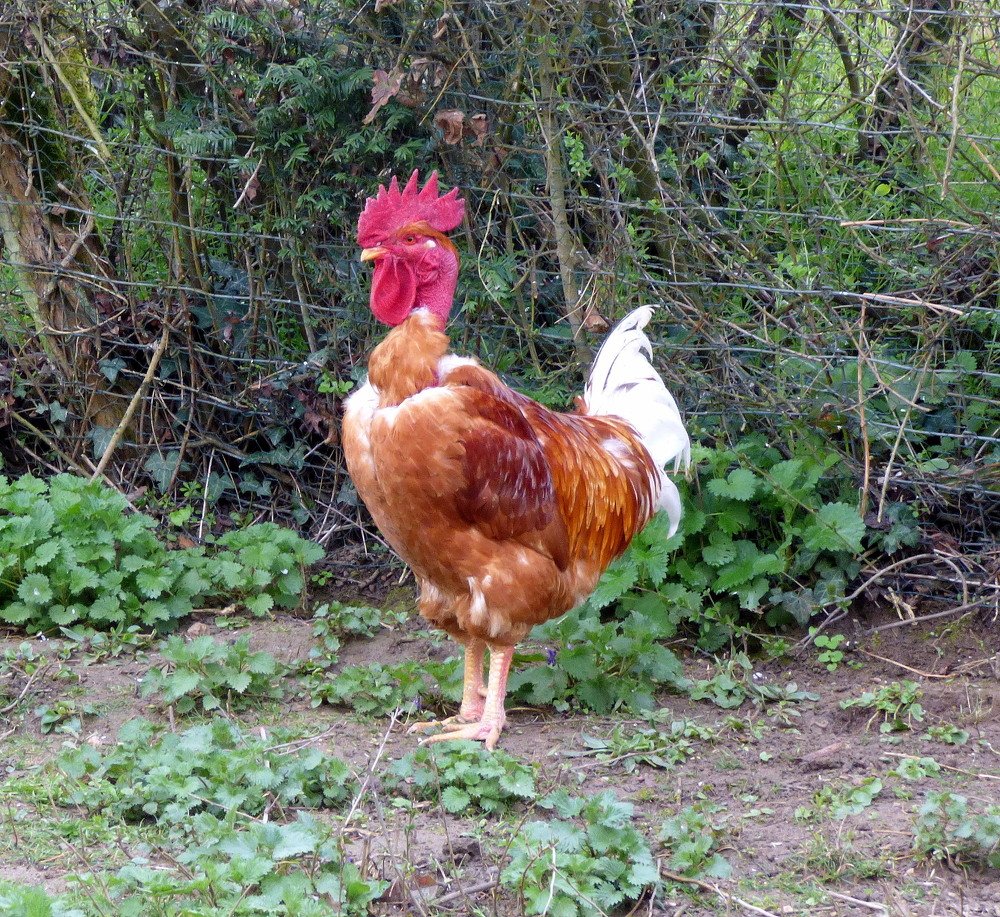 Photograph by Pjotr Alekseev