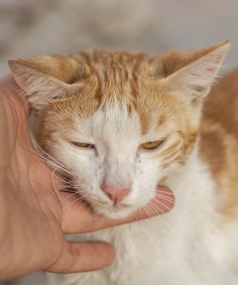 Photograph by Javad Allahyari