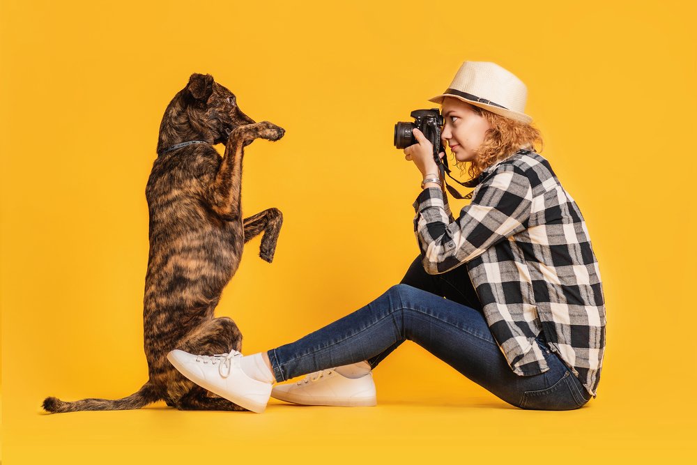 Фотография автора PO IRINA