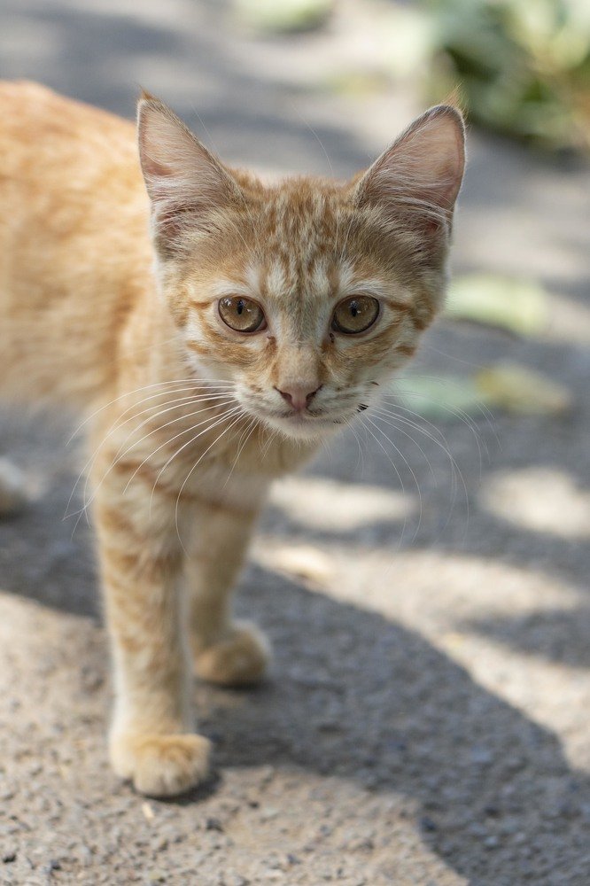 Photograph by Javad Allahyari