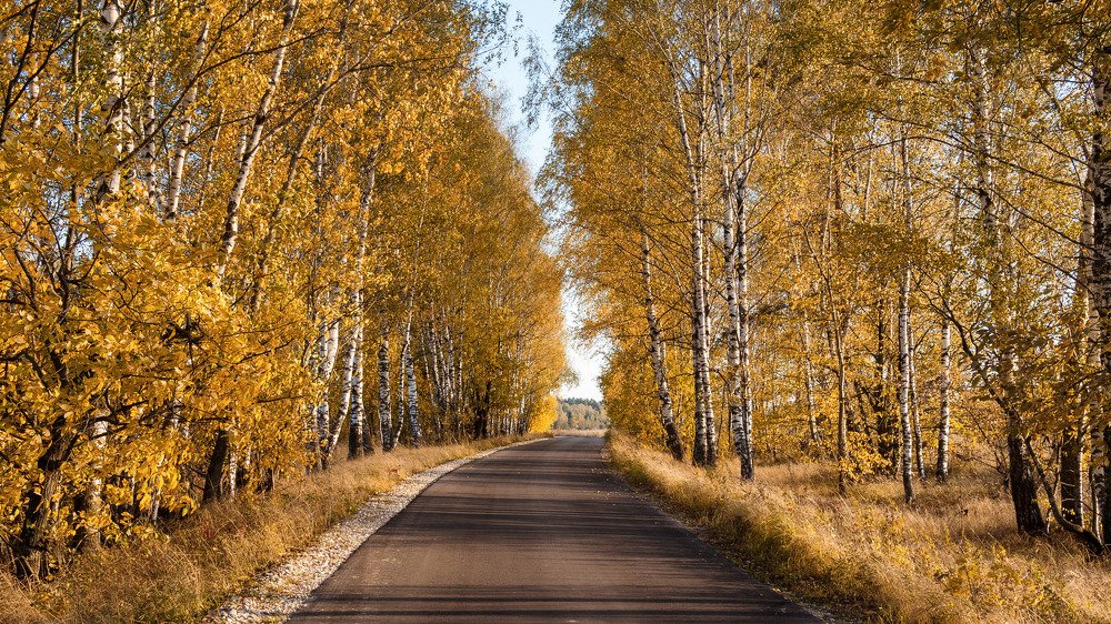 Цвет октября