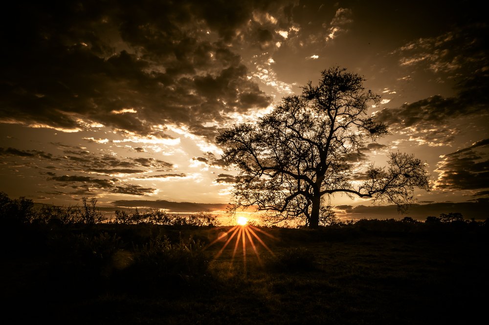 Sol Nascente do Pantanal