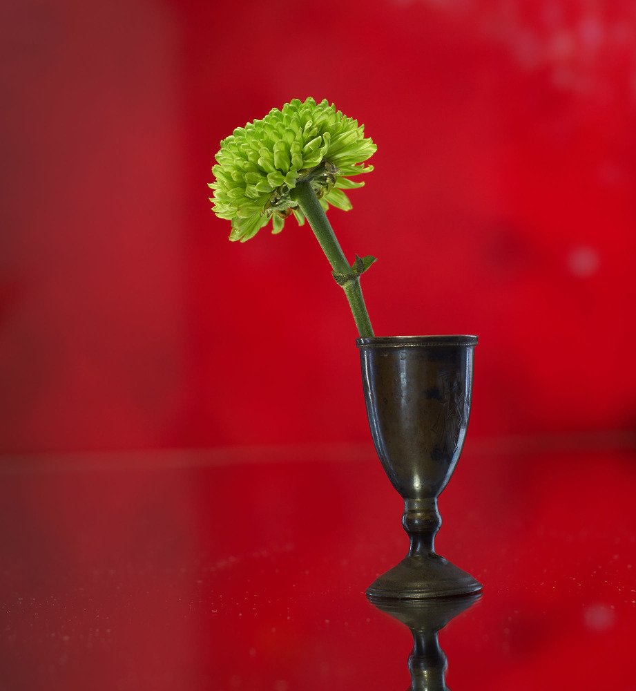 Фотография автора Александр Медведев