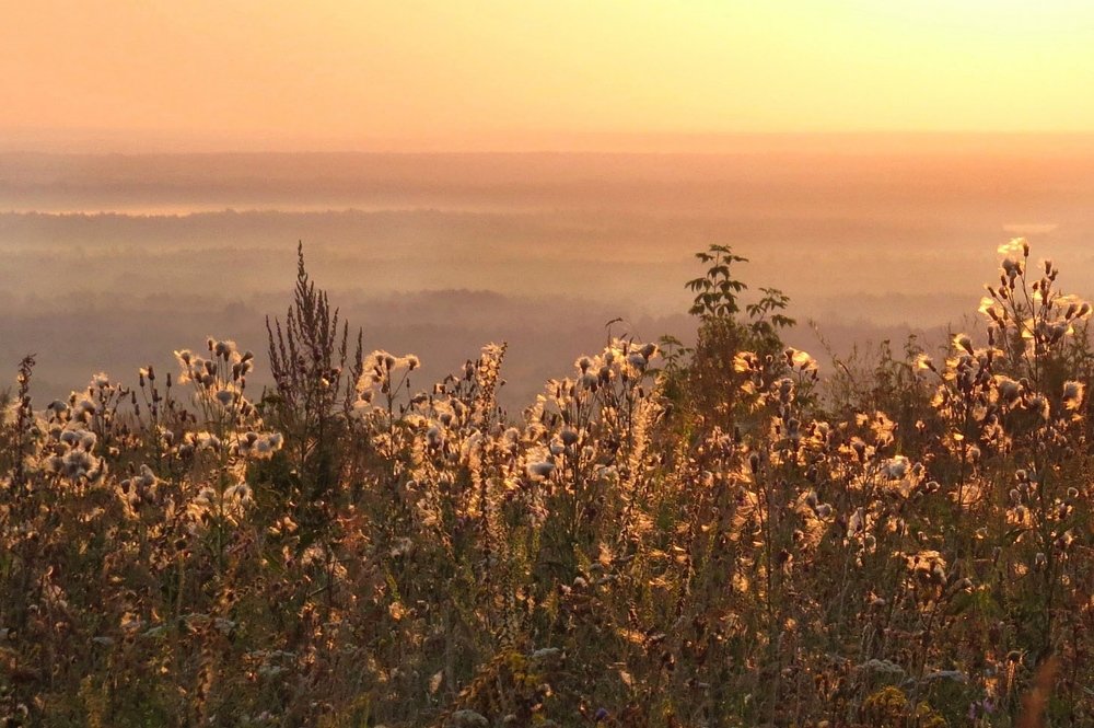 Рассвет на реке Сура
