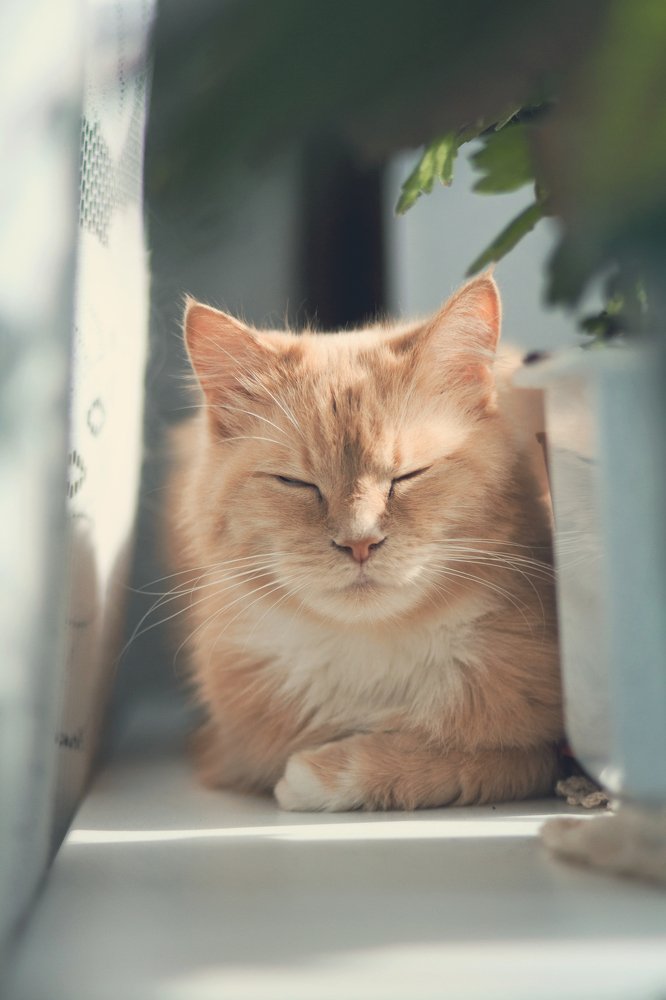 Фотография автора Андрей Вепрынцев