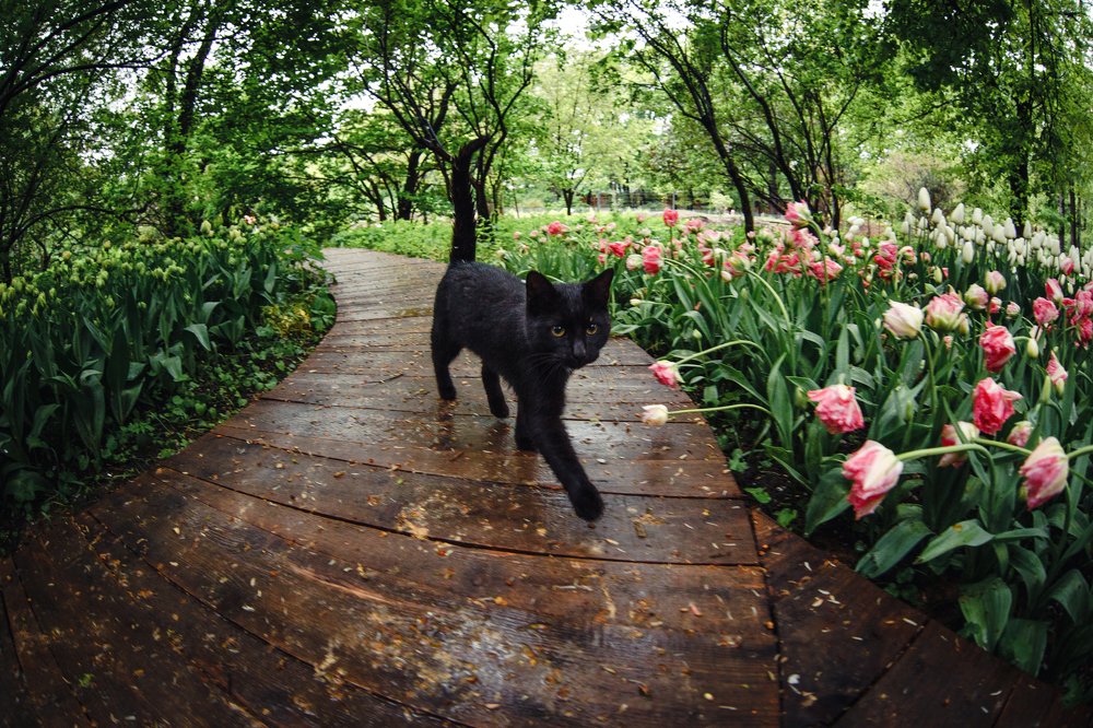 Фотография автора Андрей Вепрынцев