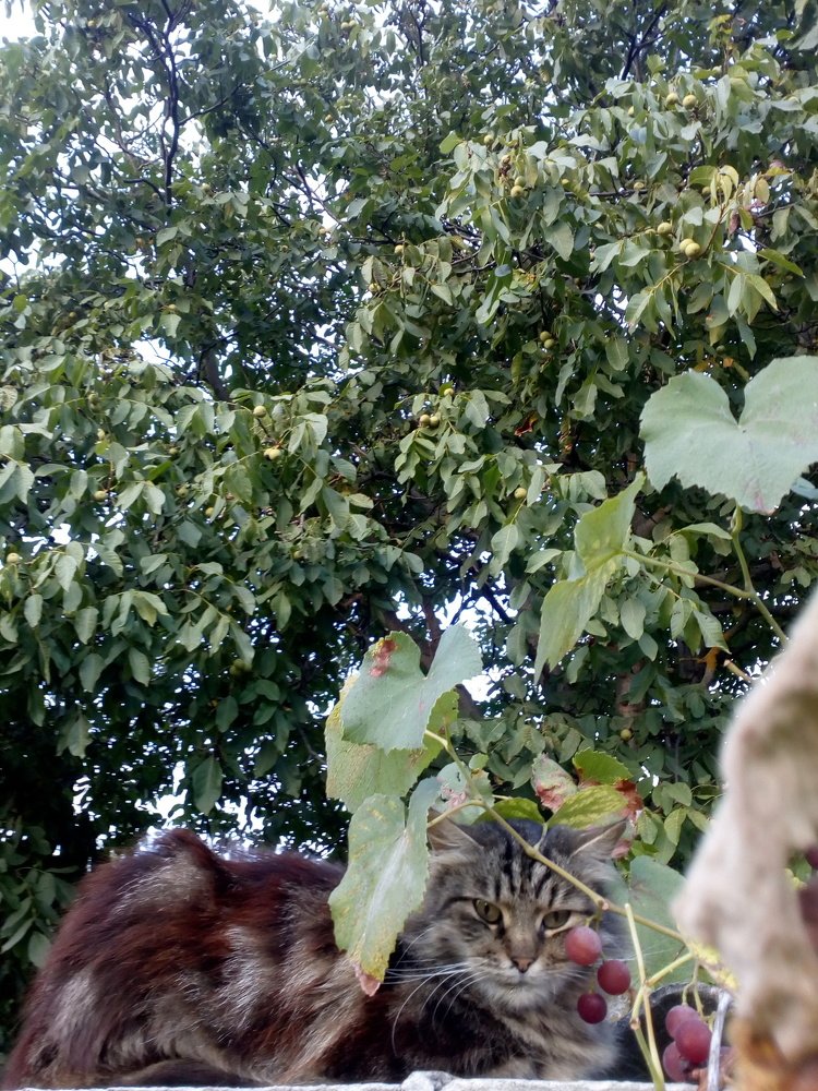 Photograph by Еле Ско