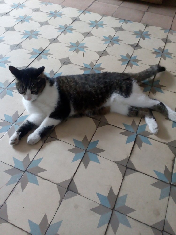 Photograph by Еле Ско