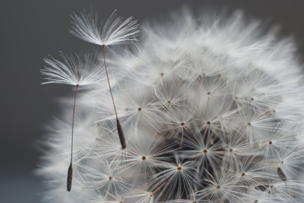 Фотография автора Мария Александрова
