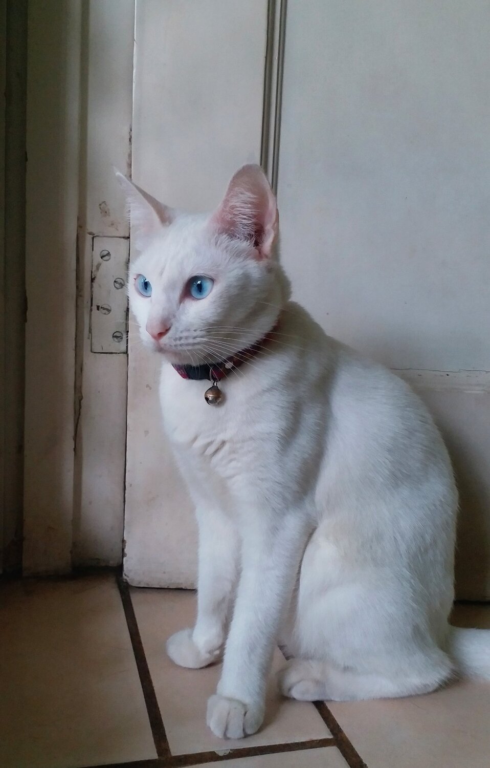 Photo #3607787