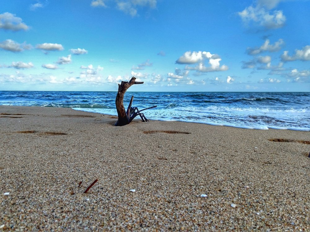 Seascape