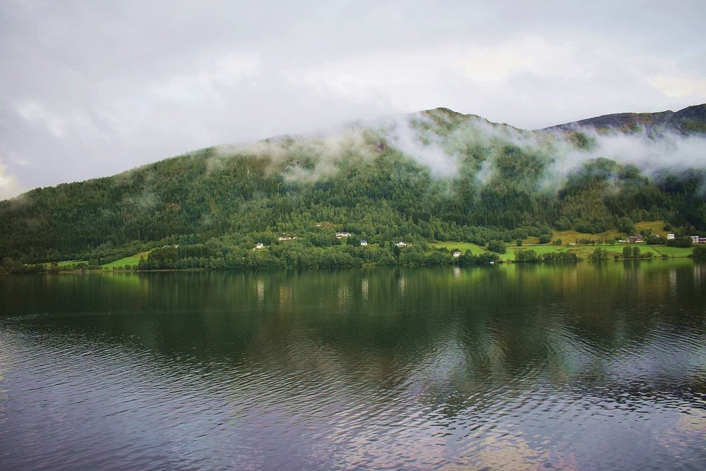 После дождя