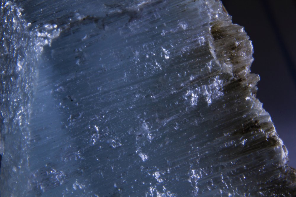 Photograph by Kondylenia Mpousmpoura