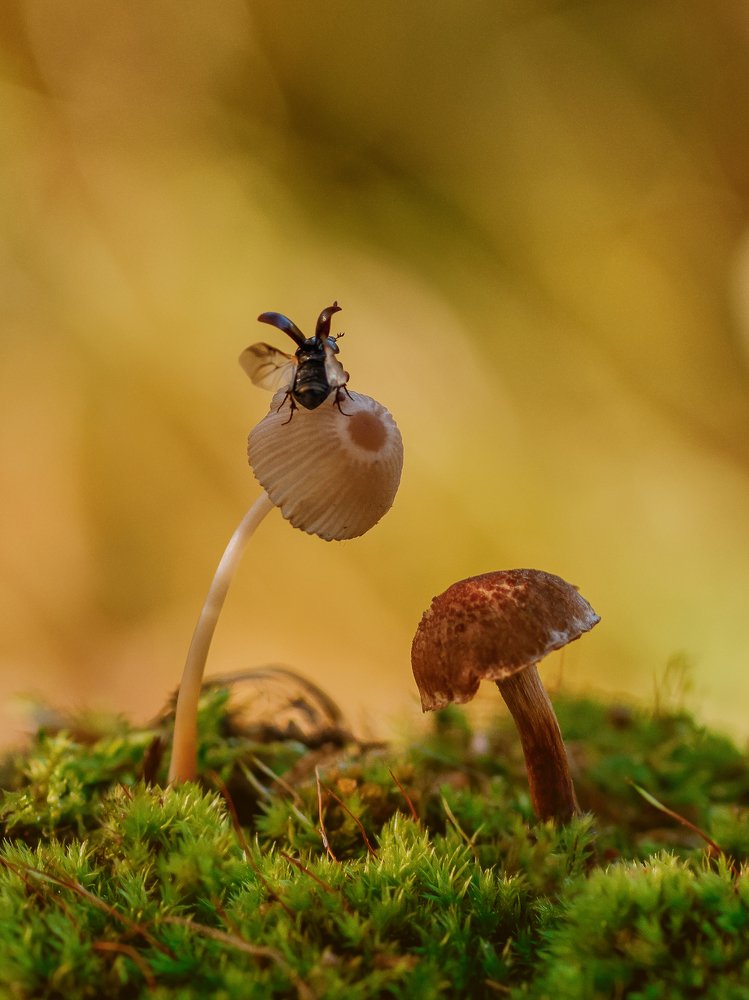 К взлёту готов!