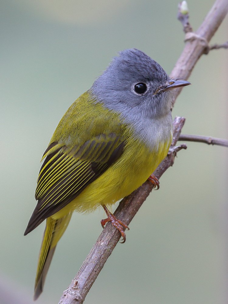 Photograph by Vishal Chandekar